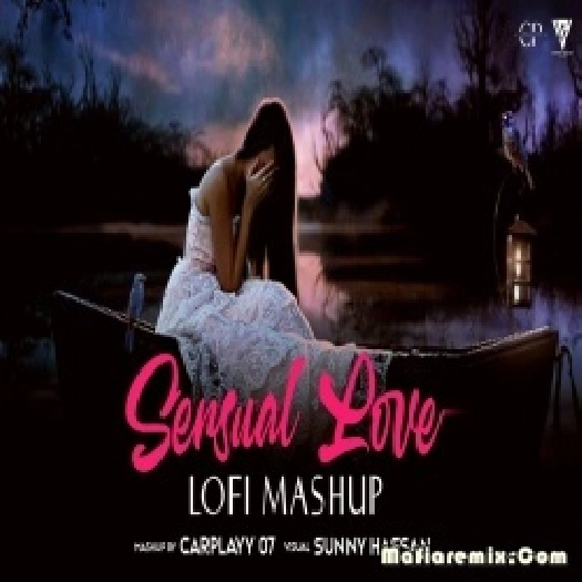 Sensual Love Emotional Lofi Mix Mashup - Sunny Hassan