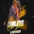 Chaleya x Calm Down - DJ Axonn Mashup