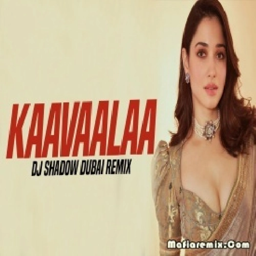 Kaavaalaa (Remix) - DJ Shadow Dubai