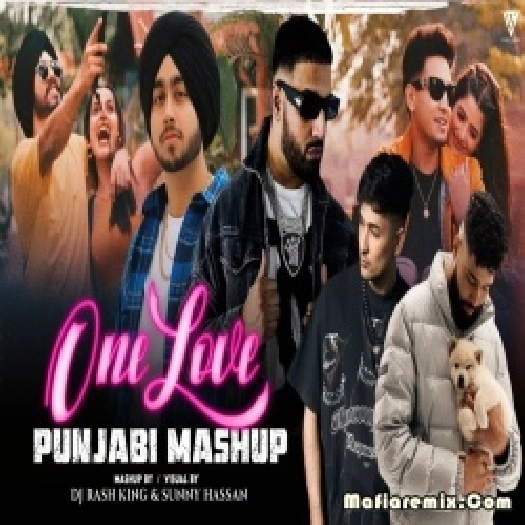 Single Love Punjabi Mashup 2023 by Sunny Hassan