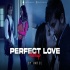 Perfect Love Mashup Remix Amtee 2023