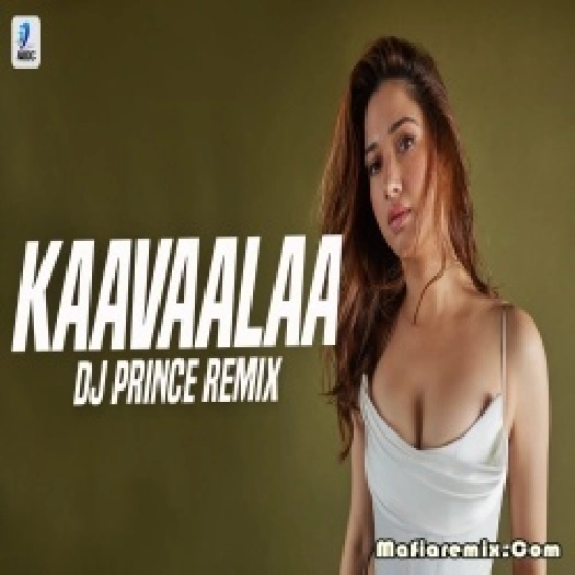 Kaavaalaa (Remix) DJ Prince