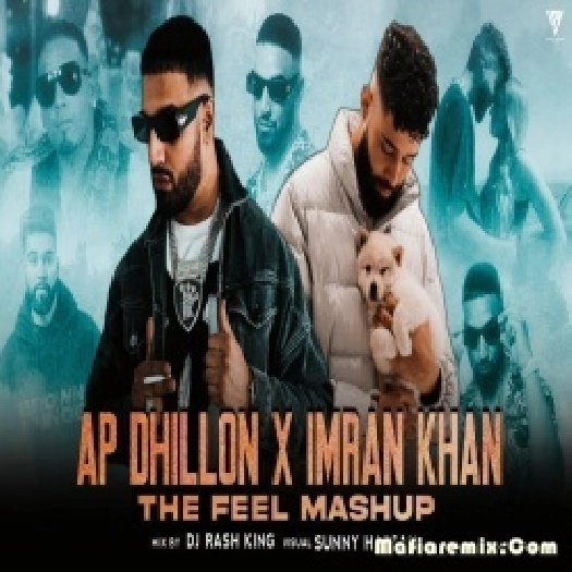 Ap Dhillon X Imran Khan Feel Mashup by Sunny Hassan
