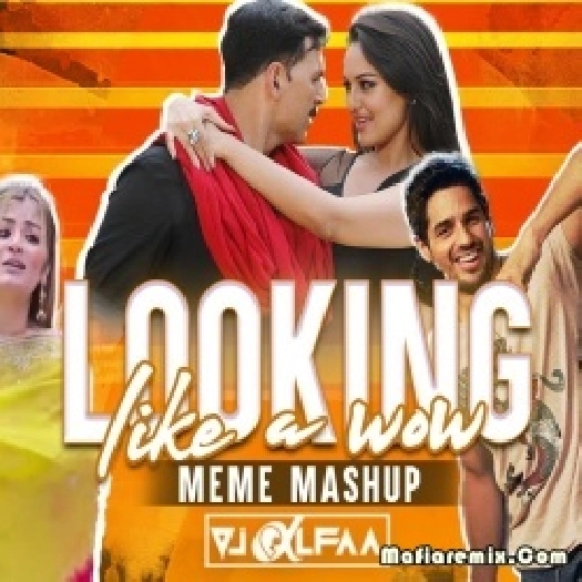Looking Like a Wow (Meme Mashup) - DJ Alfaa