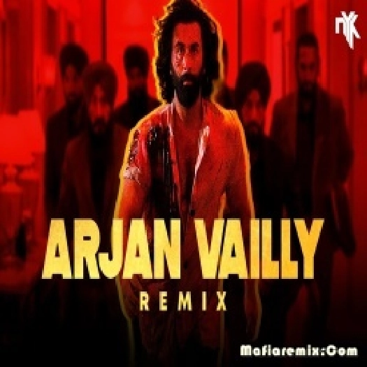 Arjan Vailly Remix by DJ NYK Remix