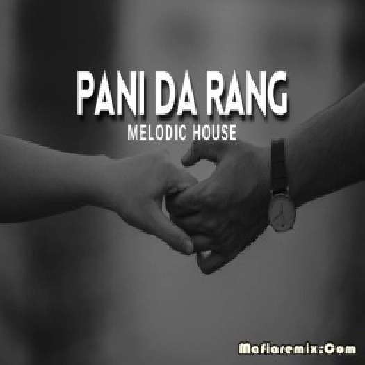 Pani Da Rang - Remix - Melodic House - Debb
