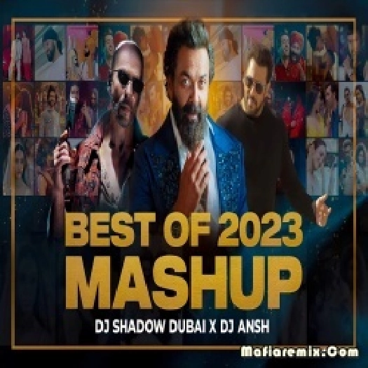 Best of 2023 MASHUP - DJ Shadow Dubai x DJ Ansh