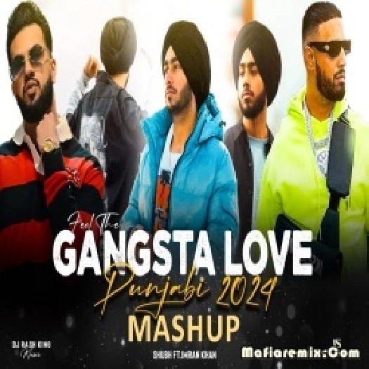 Feel The Gangsta Love Punjabi Mashup 2024 - Dj Rash