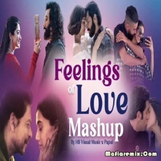 Feelings of Love Best Valentines Day Special Mashup 2024 - Papul