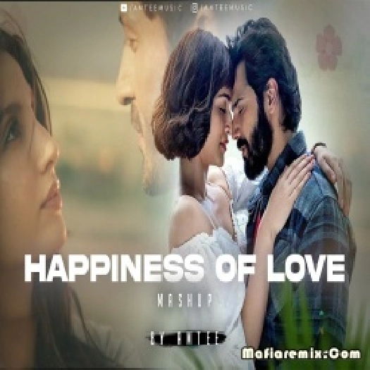 Happiness of Love Mashup 2024 by Amtee