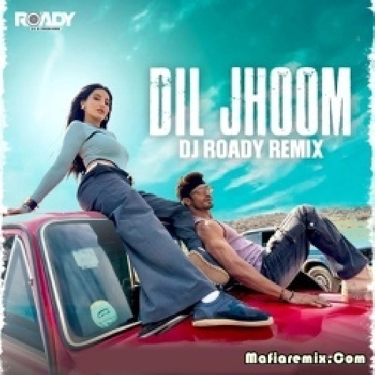 Dil Jhoom (Remix) - DJ Roady