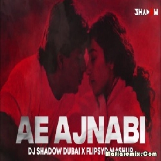 Ae Ajnabi x Answer 2024 - DJ Shadow Dubai x Flipsyd Mashup