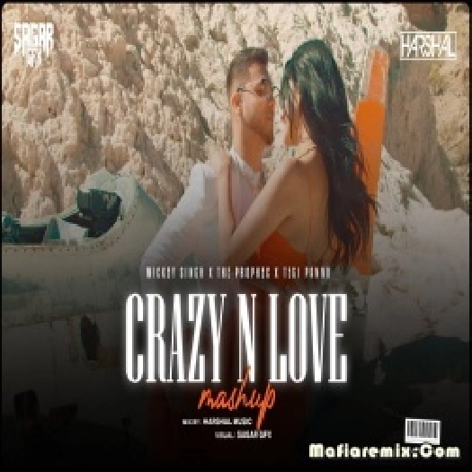 Crazy N Love Punjabi Mashup Remix 2024 Harshal Music