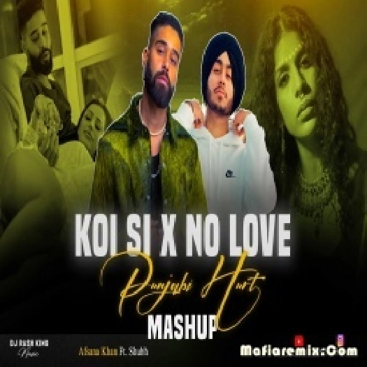Koi Si X No Love Mashup 2024 DJ Rash King