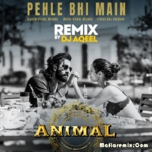 Pehle Bhi Main (Remix) - DJ Aqeel
